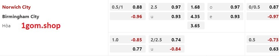 Tỷ lệ kèo Châu Á Norwich vs Birmingham