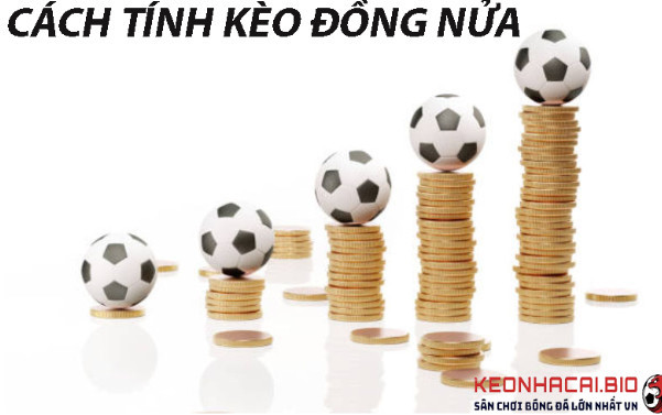 Cách tính kèo đồng nửa tại Keonhacai