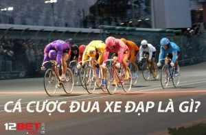 cuoc dua xe dap la gi