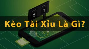 keo tai xiu 1 1 4 la gi