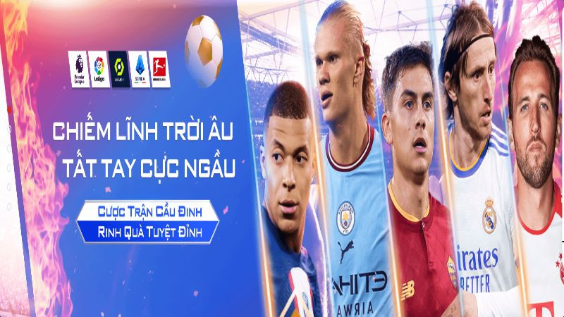 Giới thiệu về thương hiệu Bsport