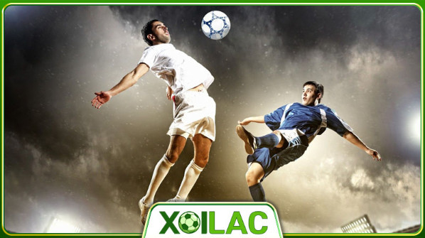 Hướng dẫn cách sử dụng Livescore trên Xoilac TV