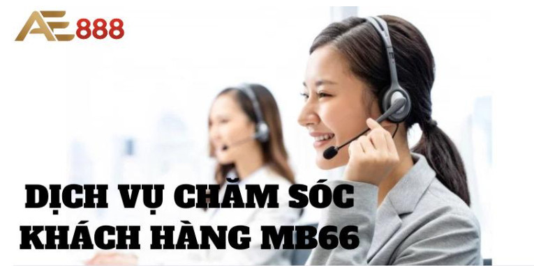 Dịch vụ hỗ trợ hội viên tận tình và chuyên nghiệp