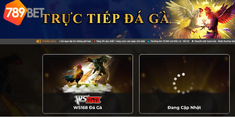 Cá cược đá gà online 789Bet với những trải nghiệm vô cùng chân thực