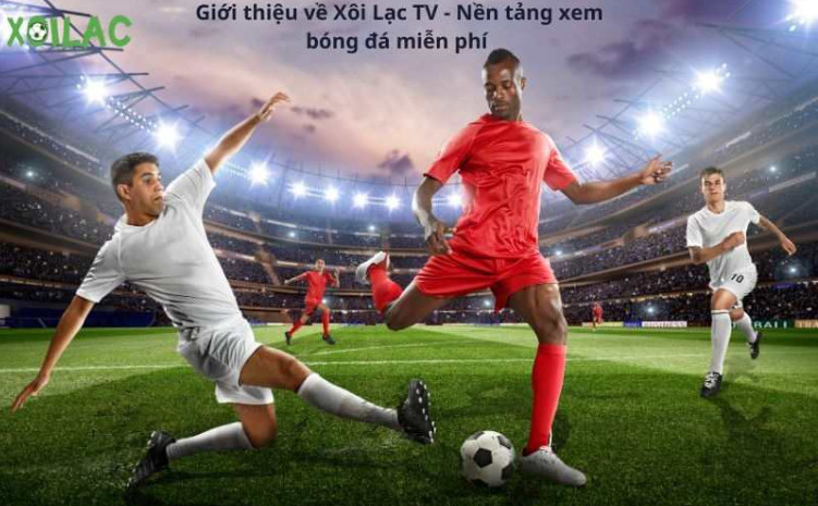 Lý do Xoilac TV được nhiều người yêu thích nhất 2024