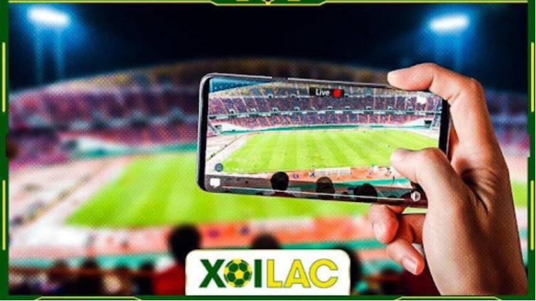 Championship là sự lựa chọn tuyệt vời