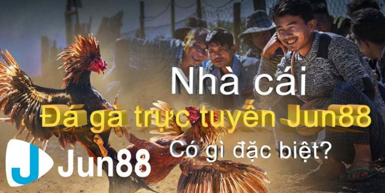 Cược đá gà online