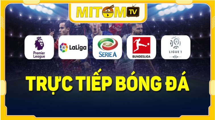 Cẩm nang truy cập xem bóng đá trên Mitom TV