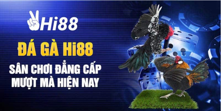 Tìm hiểu cách đăng ký đá gà Hi88