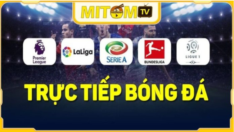 Điểm đặc biệt của trang BĐTT Mitom TV