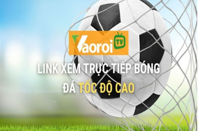 Thông tin về website Vaoroi TV