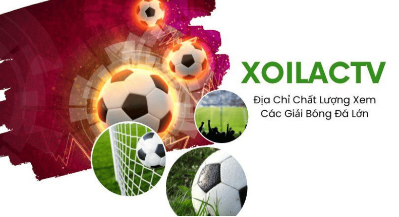 Xoilac TV - trang web xem bóng đá trực tiếp có gì?