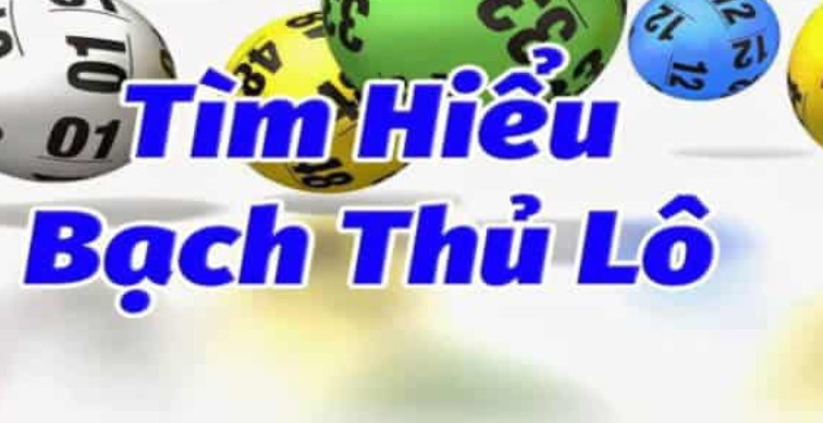 Bạch thủ lô là gì?