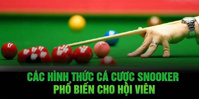 Các hình thức cá cược Snooker phổ biến cho hội viên