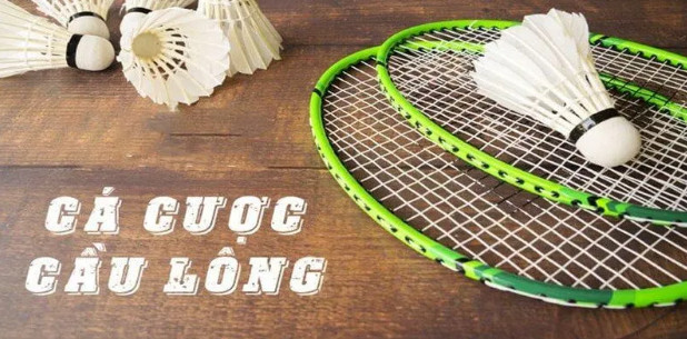 Quy tắc cá độ cầu lông