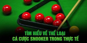 tim hieu ve the loai ca cuoc snooker trong thuc te