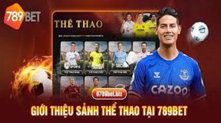 Một vài nét về sảnh thể thao 789bet