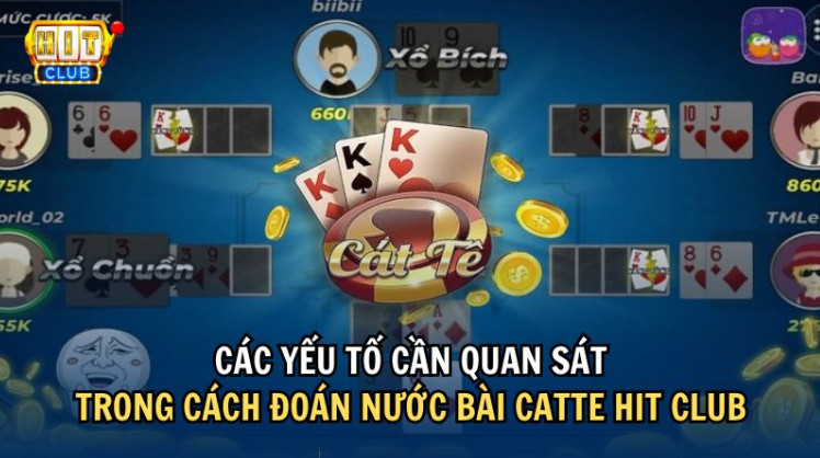 Những yếu tố quan trọng cần quan sát trong cách đoán nước bài Catte Hit Club