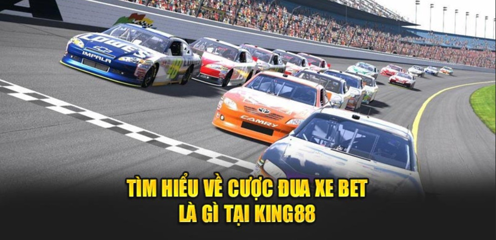 Tìm hiểu về cược đua xe bet là gì tại King88